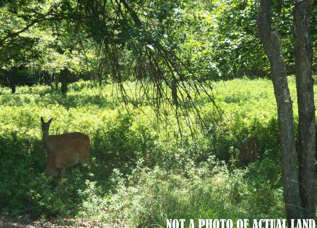 Property at LOT 1403 Reynolds Rd, Albrightsville, PA 18210