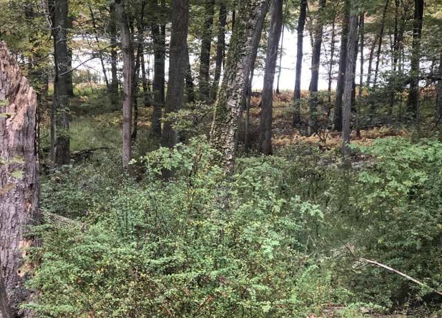 Property at Pocono Blvd Lot 33, Bushkill, PA 18324