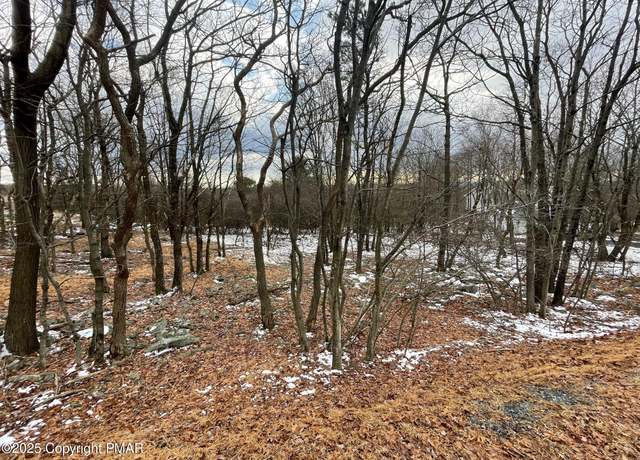 Property at 805 Dogwood Ter, Albrightsville, PA 18210