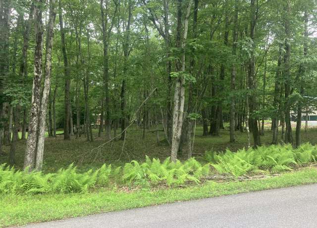 Property at Elliot Ln, Albrightsville, PA 18210