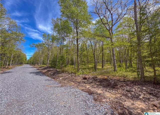 Property at Lot 567 Cross Run Rd, Jim Thorpe, PA 18229