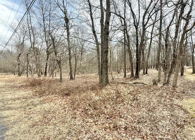 Property at Ev1234 Chapman Cir, Albrightsville, PA 18210