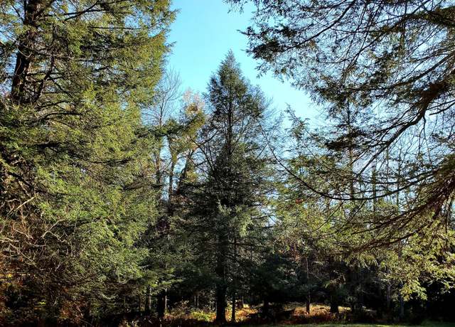 Property at 508 & 509 Spruce Ct 508 Ct, Pocono Lake, PA 18347