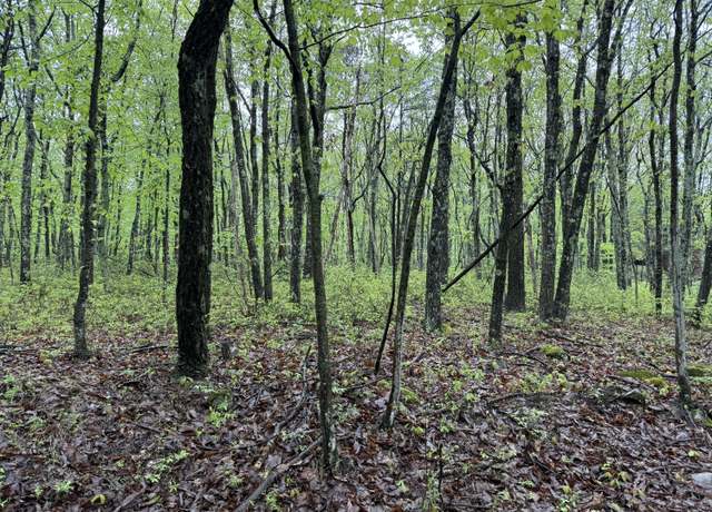 Property at Lot 2 Sportsmans Trl, Stroudsburg, PA 18360