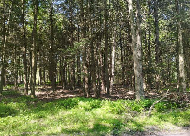 Property at George Dr Dr, Pocono Lake, PA 18347