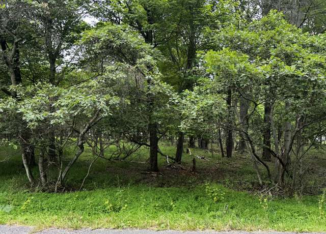 Property at Lot EP1850 Chippewa Trl, Albrightsville, PA 18210