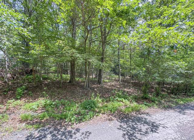 Property at Lot 114 Birch Dr, Jim Thorpe, PA 18229