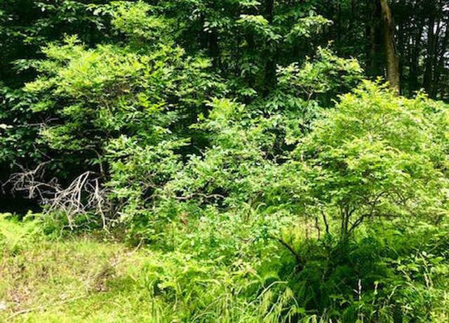 Property at Pontiac Path Lot 34, Pocono Lake, PA 18347