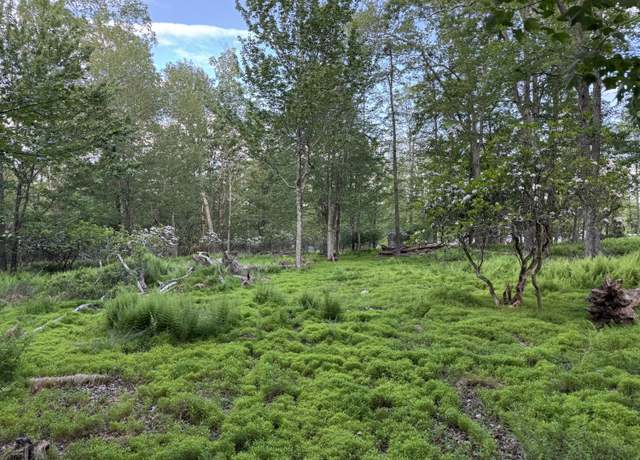 Property at Lot 10 Twilight Dr, Cresco, PA 18326