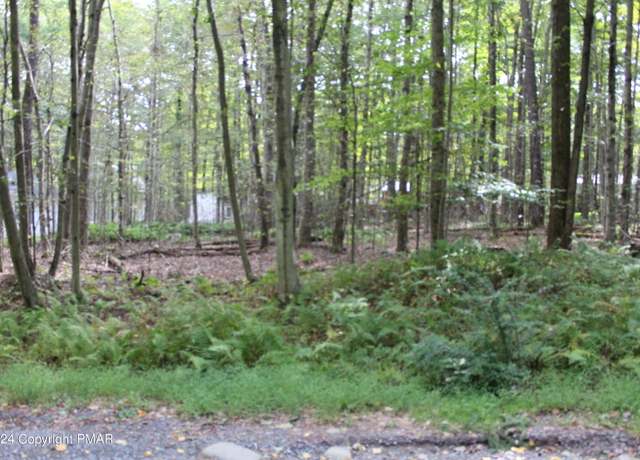 Property at Muskwink Dr1, Pocono Lake, PA 18347