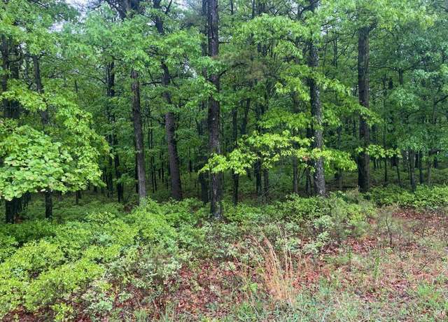 Property at A3.01 Dew Drop Dr, Jim Thorpe, PA 18229