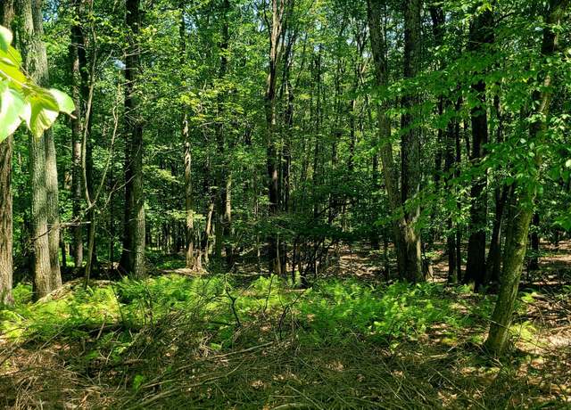 Property at 711 Eagle Pass, Swiftwater, PA 18370