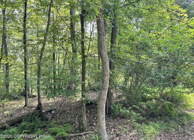 Property at St Moritz Ct 3F, Henryville, PA 18332