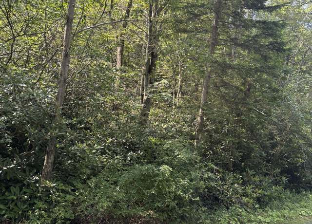 Property at Long View Ln 36 Ln, Pocono Summit, PA 18350
