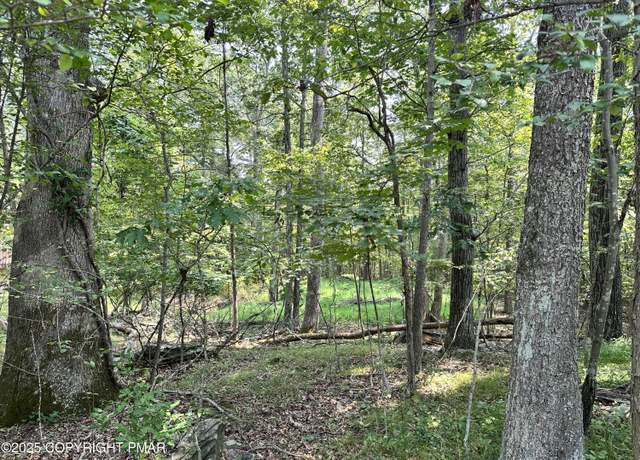 Property at Timber Hill Rd 2B, Henryville, PA 18332