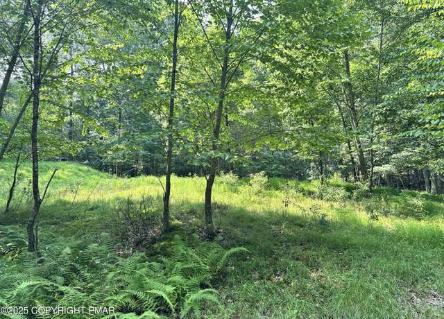 Property at Timber Hill Rd 3C, Henryville, PA 18332