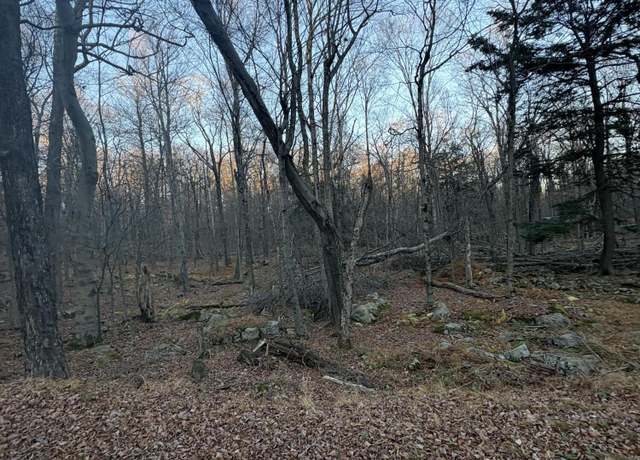 Property at 27 Spring Ct, Newfoundland, PA 18445