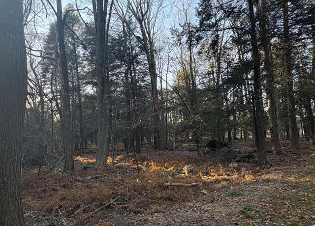 Property at 1 Cobblewood Rd, Newfoundland, PA 18445
