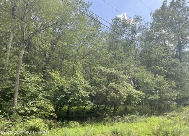 Property at 224 & 225 Bluejay Dr, Jim Thorpe, PA 18229