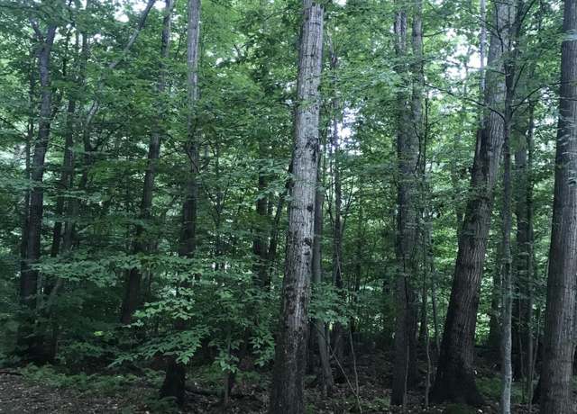 Property at 604/605 Wagner Way, Pocono Lake, PA 18347