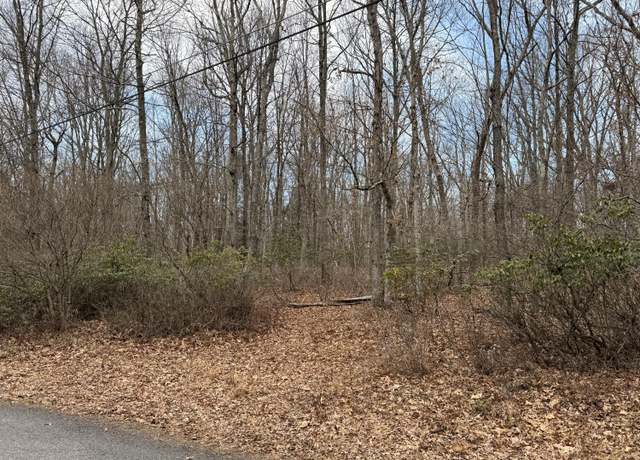Property at Blackberry Ln, Jim Thorpe, PA 18229