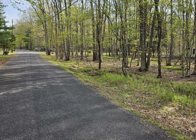 Property at Towamensing Trail & Whitman Ln, Albrightsville, PA 18210