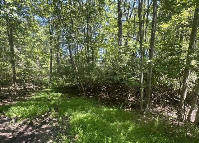 Property at Lot 2 Tamarack Ter, Pocono Summit, PA 18346