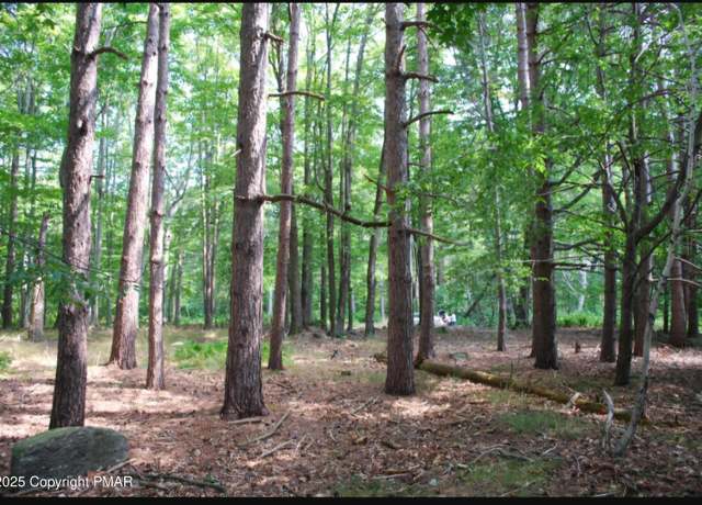 Property at Beechnut Ln, Greentown, PA 18325