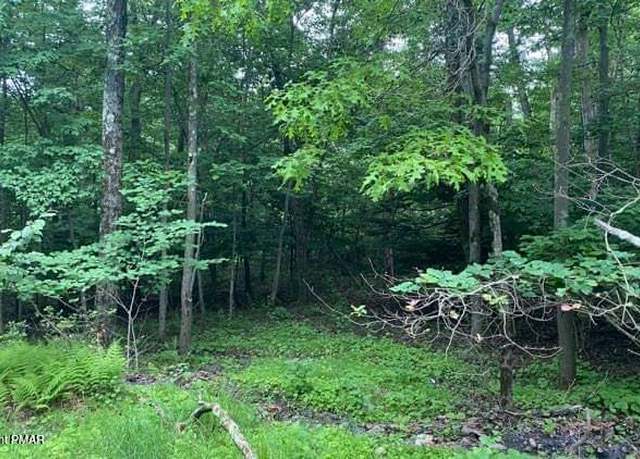 Property at 263 Buck Fever Trl, Scotrun, PA 18355