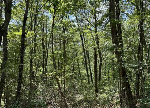 Property at Pond Creek Rd, White Haven, PA 18661