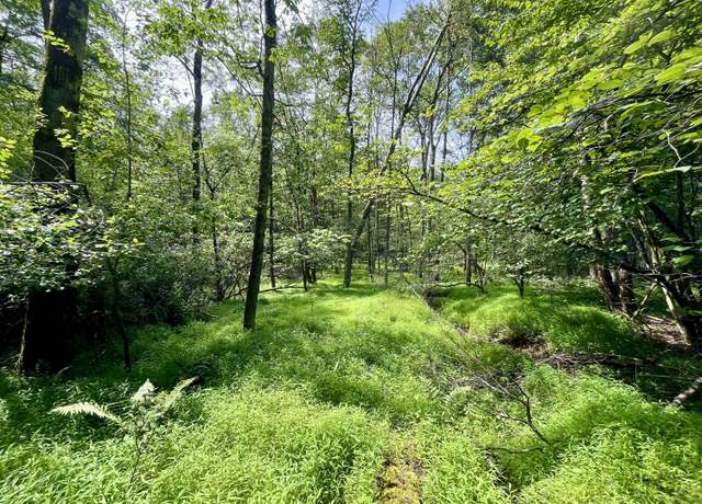 Property at B15.07 State St, White Haven, PA 18661
