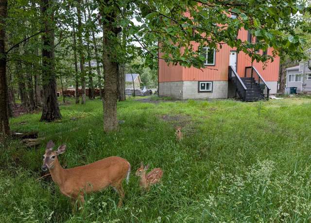 Property at 1584 Black Birch Way, Tobyhanna, PA 18466, 4 beds, 2.5 baths