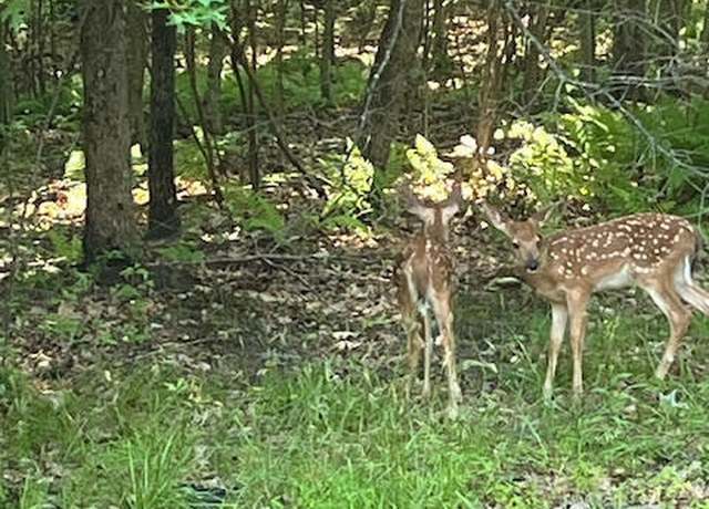 Property at Lot 118 Route 390 & Oak Rd, Greentown, PA 18426