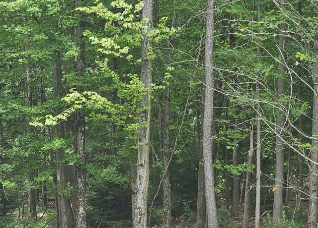 Property at LOT 406 Ash Dr, Pocono Summit, PA 18346