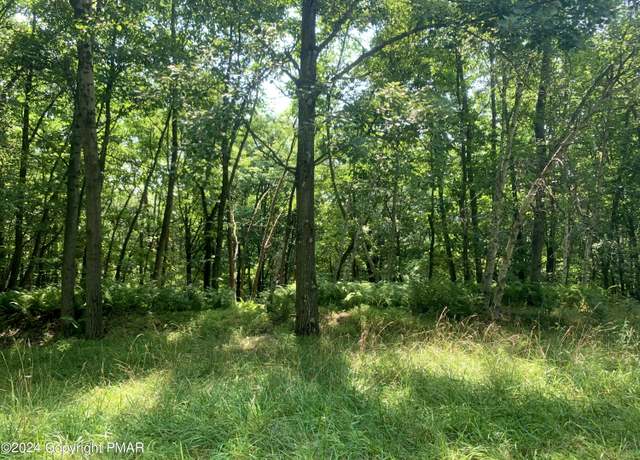 Property at 259 Sky View Te Ter, Effort, PA 18330