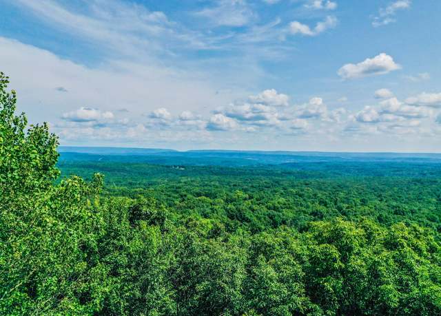 Property at 259 Sky View Te Ter, Effort, PA 18330