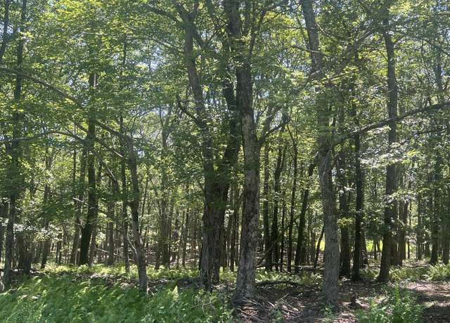 Property at 315 Doe Loop, Bushkill, PA 18324