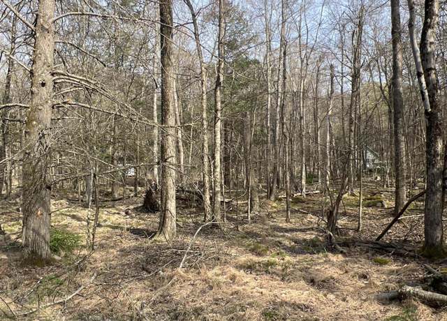 Property at lot 814 White Pine Dr, Pocono Lake, PA 18347