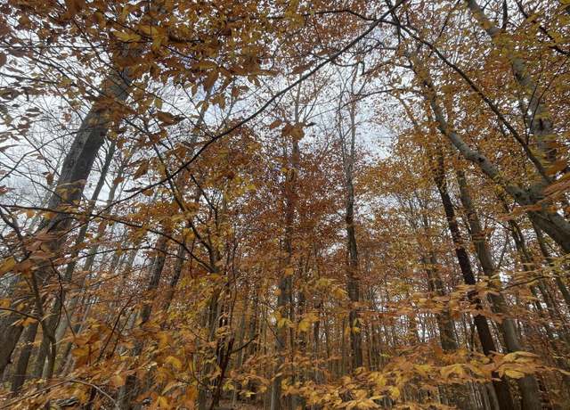 Property at Creole Trl, Pocono Lake, PA 18347