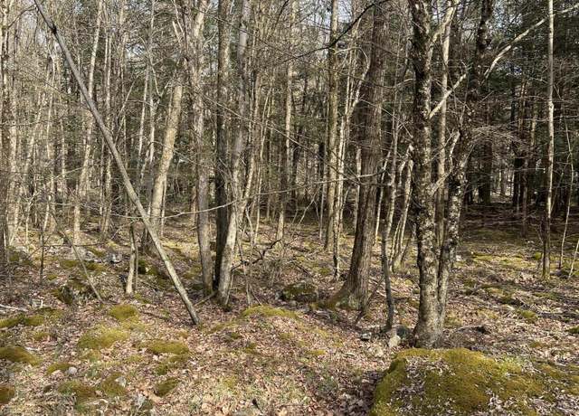 Property at lot 813 White Pine Dr, Pocono Lake, PA 18347