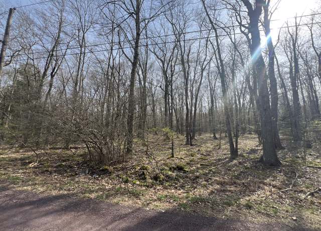 Property at lot 1010 Beaver Run, Pocono Lake, PA 18347