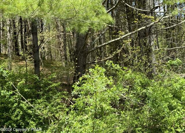 Property at Haney Rd, Kunkletown, PA 18058