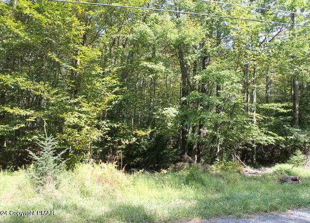 Property at Lot 24 Sheshequin Dr, Pocono Lake, PA 18347