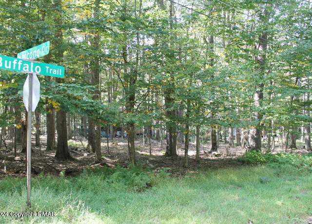 Property at #8 Buffalo Trl, Pocono Lake, PA 18347