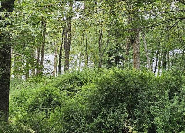 Property at Lot 45 Lake Russell Rd, Newfoundland, PA 18445