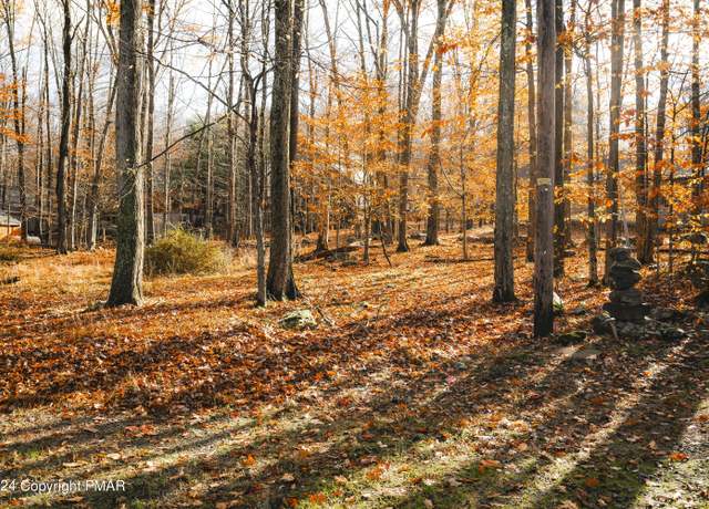 Property at 256 Owassa Dr, Pocono Lake, PA 18347