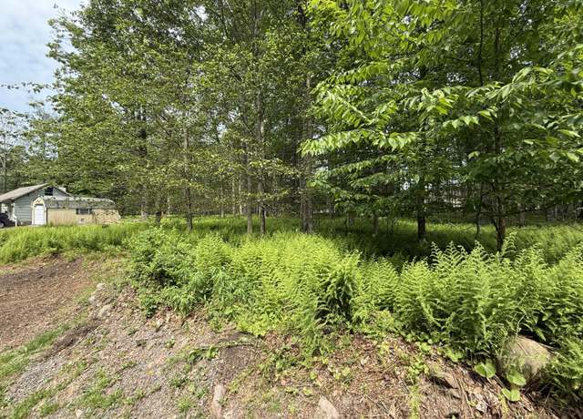 Property at Dorshimer Ave, Blakeslee, PA 18610