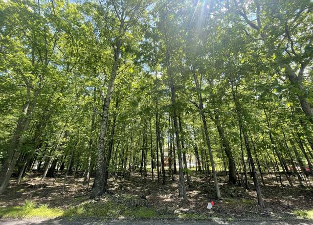 Property at Gingerbread Ln, East Stroudsburg, PA 18302