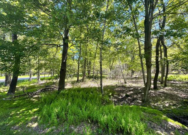 Property at EV988 Cummings Lane & Stony Mountain Rd, Albrightsville, PA 18210