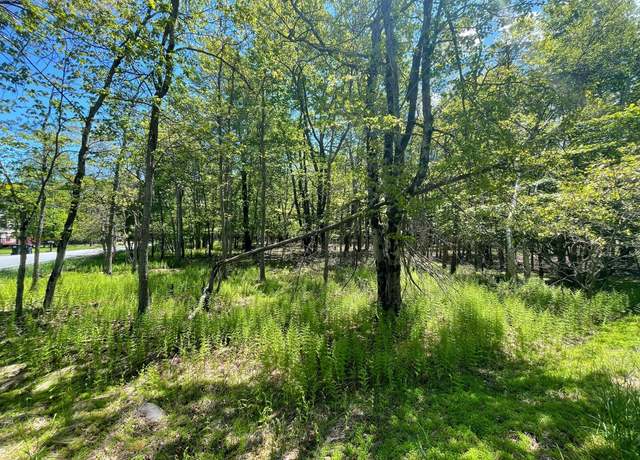 Property at EV804 Stoney Mountain Road & Milton Way, Albrightsville, PA 18210